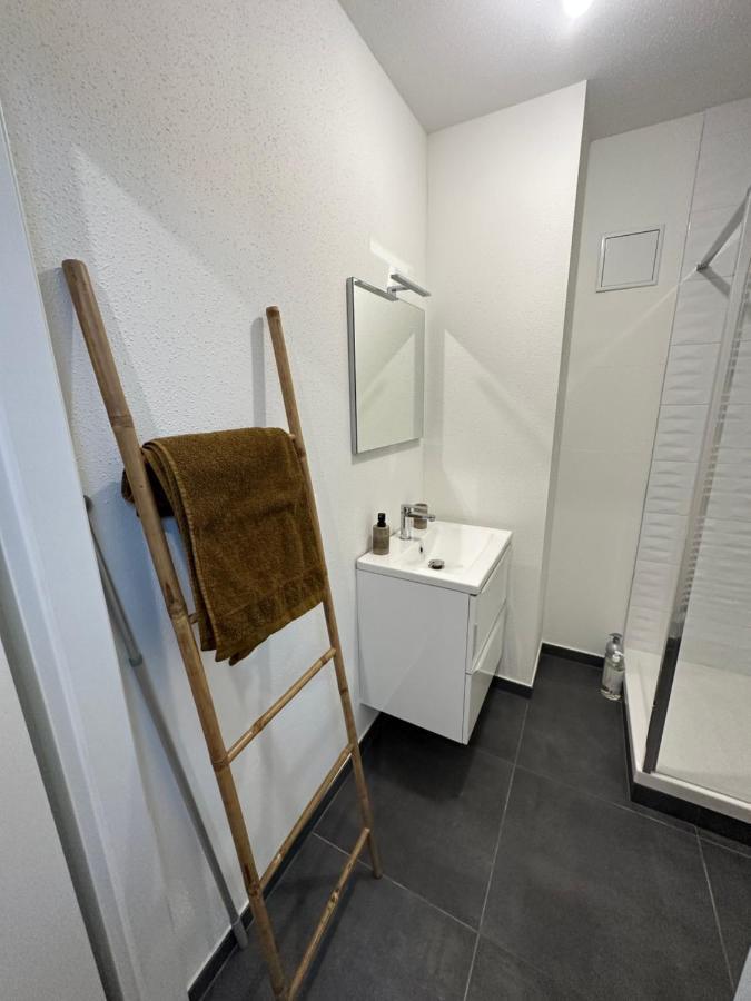 Appartement Atypique Proche Gare/ Dans L'Hyper-Centre Spacieux Pour 6P Au Coeur De مُلووز المظهر الخارجي الصورة